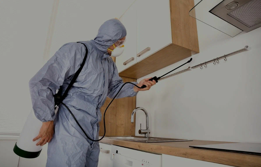 Oakdale pest managment